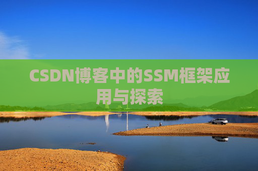 CSDN博客中的SSM框架应用与探索